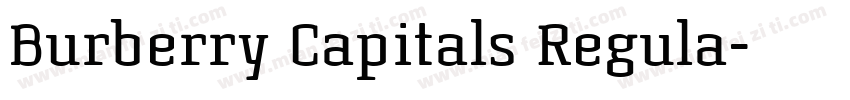 Burberry Capitals Regula字体转换